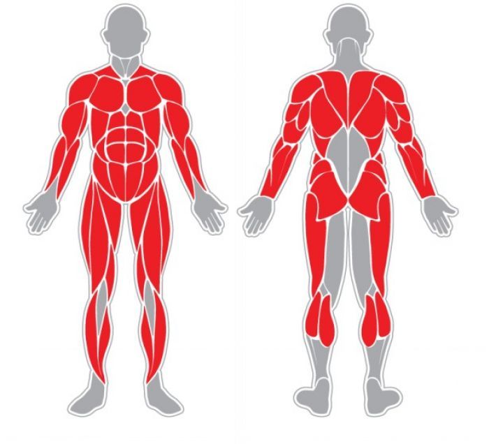 Fitness stroj - Veslovací trenažer